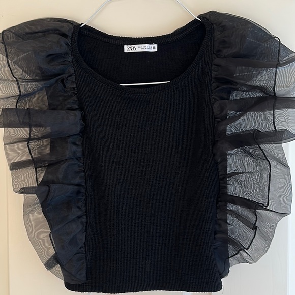 Zara Sheer Ruffle Sleeve top - Size Small - Picture 1 of 4